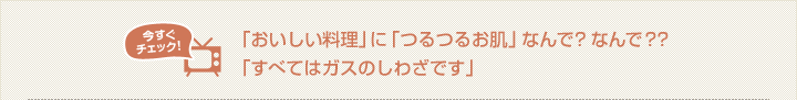 『おいしい料理』 に 『つるつるお肌』 なんで？ なんで？？「すべてはガスのしわざです」