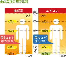垂直温度分布の比較